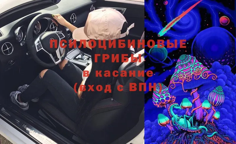 Псилоцибиновые грибы Cubensis  ссылка на мегу ССЫЛКА  Кимовск  где найти наркотики 